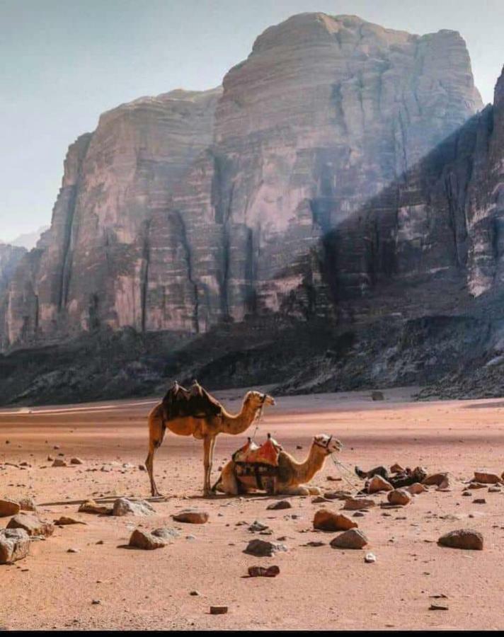 Wadi Rum Local Camp 外观 照片